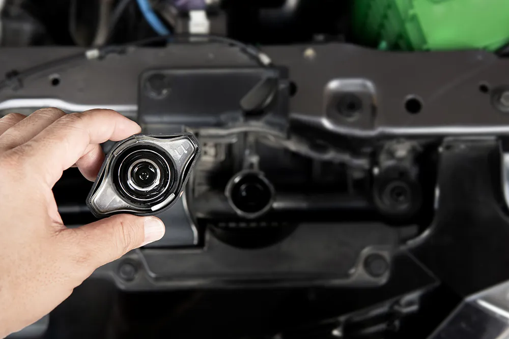 Unleashing The Magic Of Radiator Care For Your European Beauty